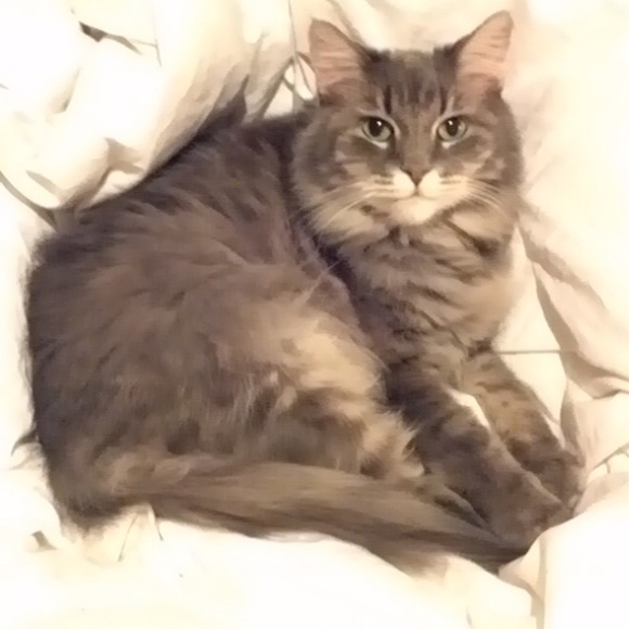 Meet your Posher, Sara Fleetwood - Picture 3 of 8